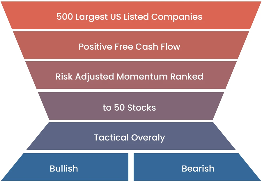 Momentum VIT fund selection process